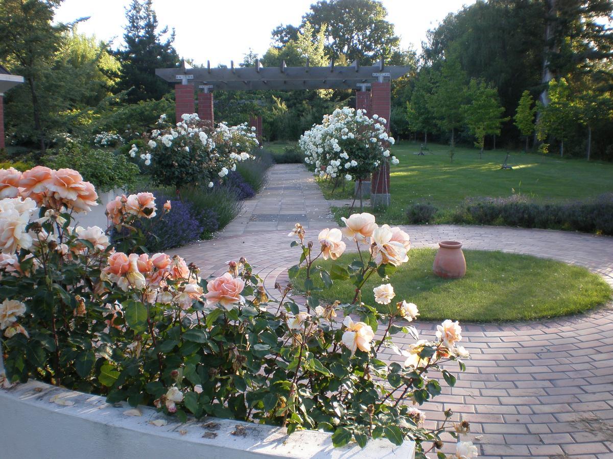 Shamrock Garden B&B Airport Christchurch Kültér fotó