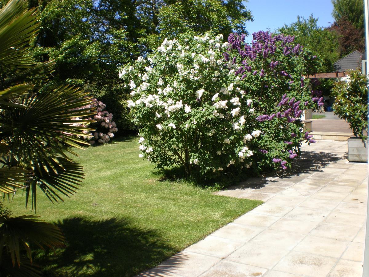 Shamrock Garden B&B Airport Christchurch Kültér fotó
