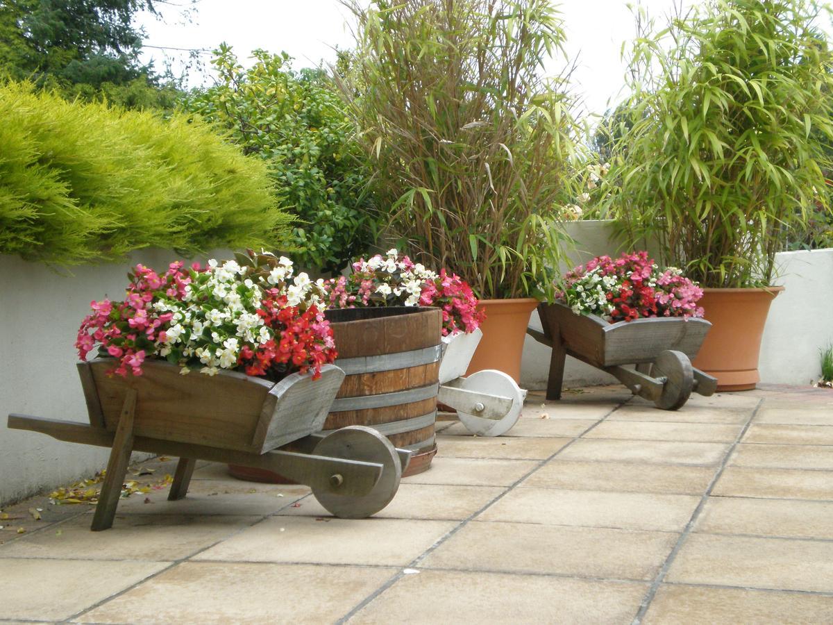 Shamrock Garden B&B Airport Christchurch Kültér fotó