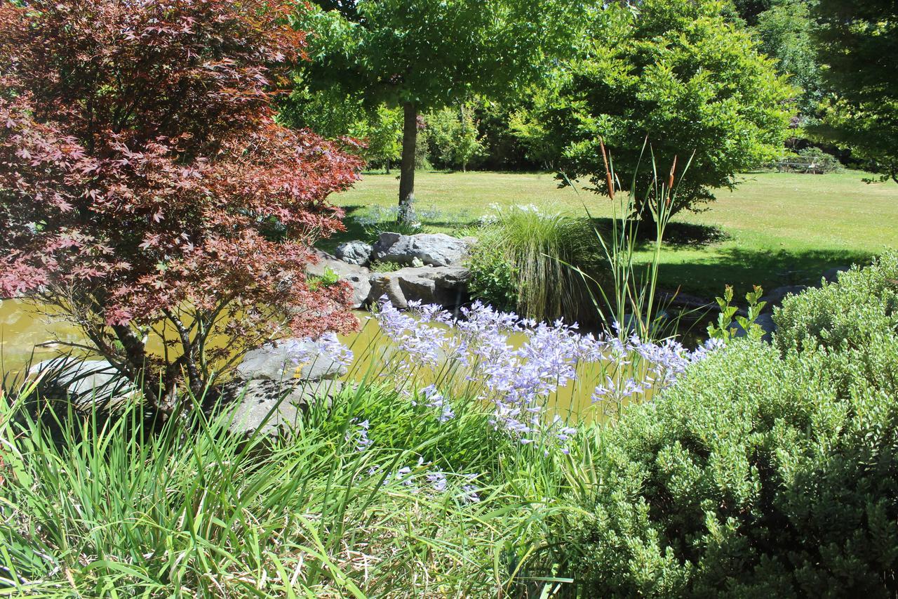 Shamrock Garden B&B Airport Christchurch Kültér fotó