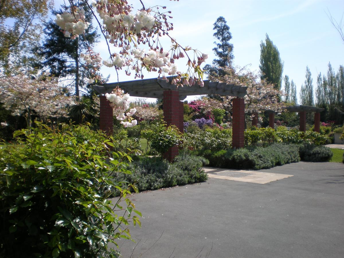 Shamrock Garden B&B Airport Christchurch Kültér fotó