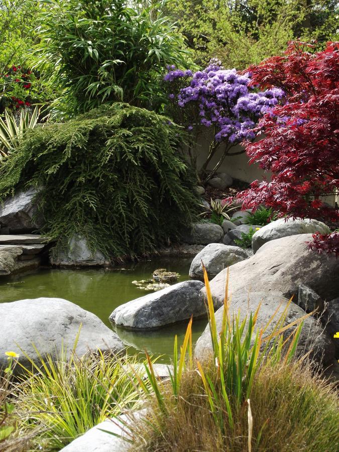 Shamrock Garden B&B Airport Christchurch Kültér fotó