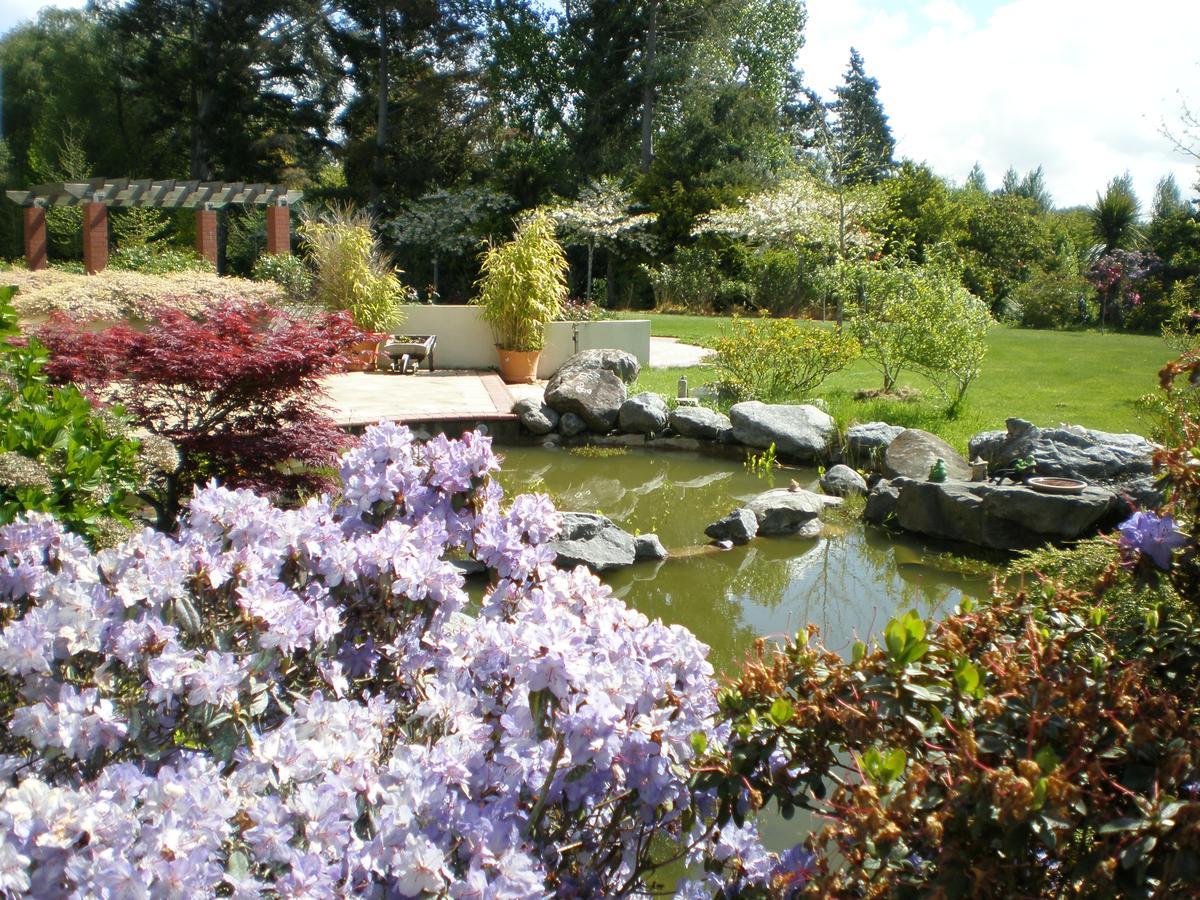 Shamrock Garden B&B Airport Christchurch Kültér fotó